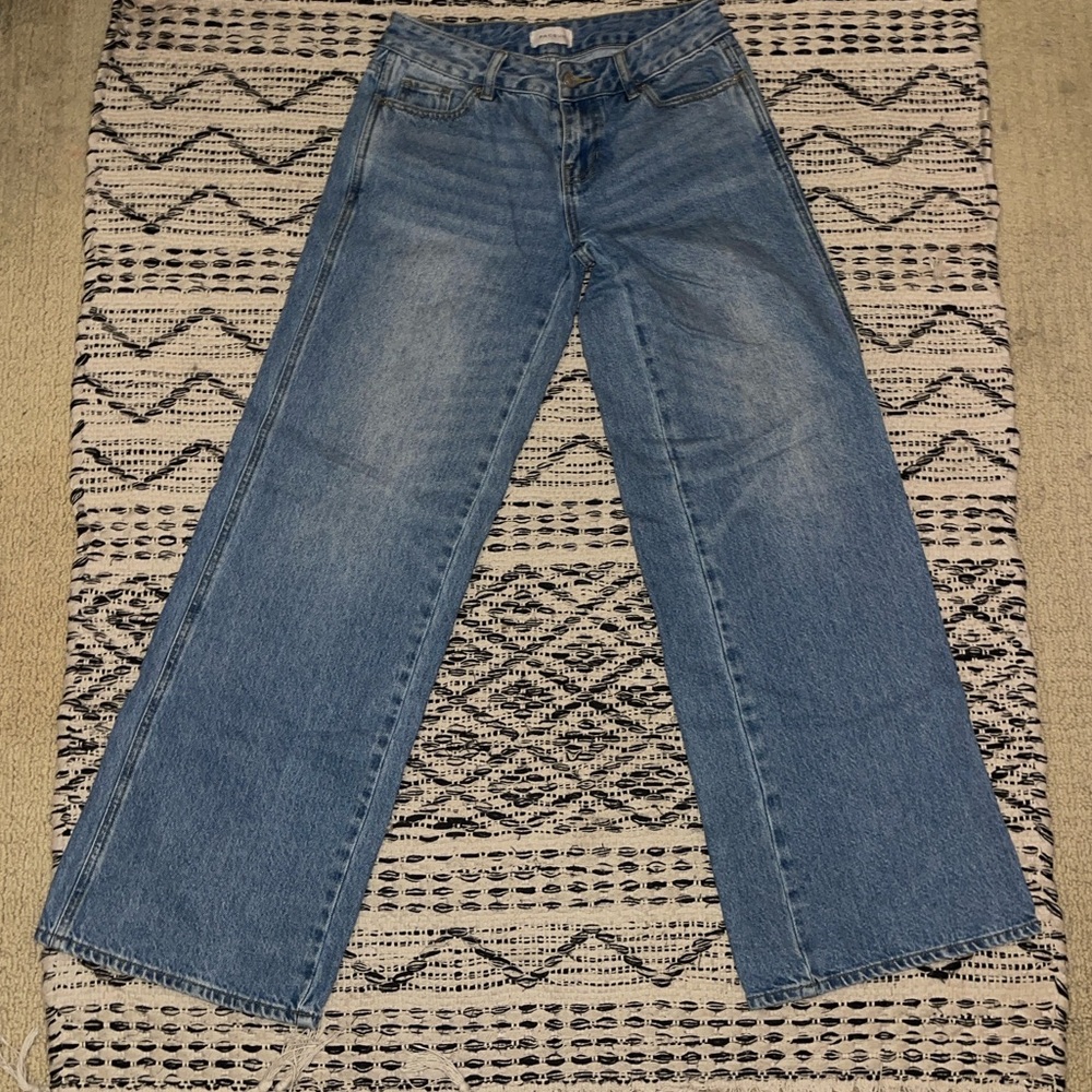 Pacsun Low Rise Baggy Jean